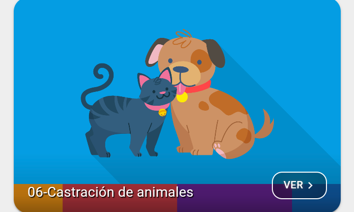 castración de perros y gatos en Córdoba